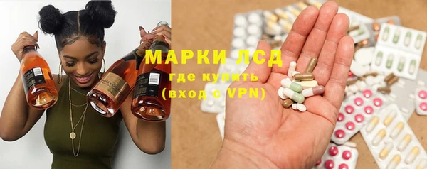 твердый Новозыбков
