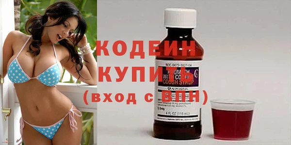 твердый Новозыбков