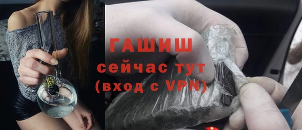 твердый Новозыбков