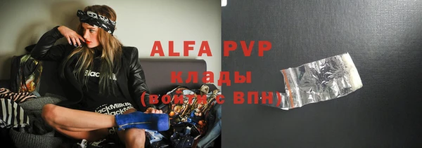 твердый Новозыбков