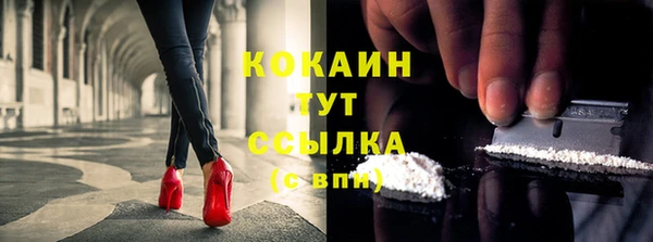 твердый Новозыбков