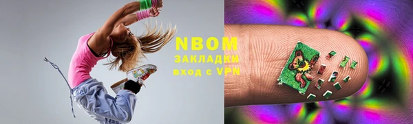 твердый Новозыбков