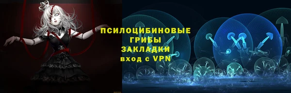метадон Новодвинск