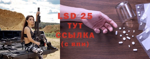 твердый Новозыбков