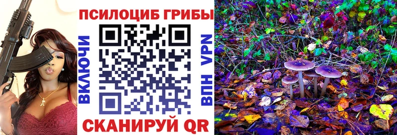 Псилоцибиновые грибы мухоморы  Козьмодемьянск 